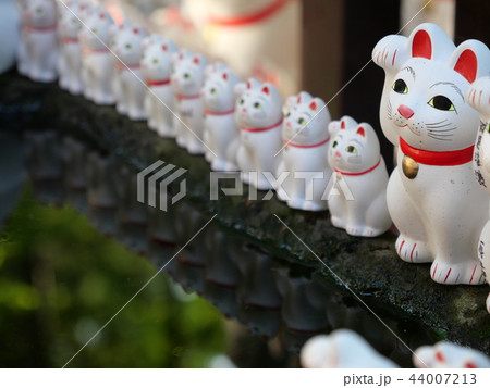 招き猫 豪徳寺　東京都 44007213
