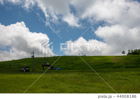 霧ヶ峰の夏山・霧ヶ峰スキー場(長野県) 霧ヶ峰の夏山・霧ヶ峰スキー場(長野県) 44008186