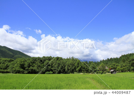 東北 遠野の田園風景(夏) 44009487