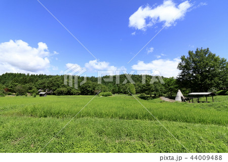 東北 遠野の田園風景(夏) 44009488