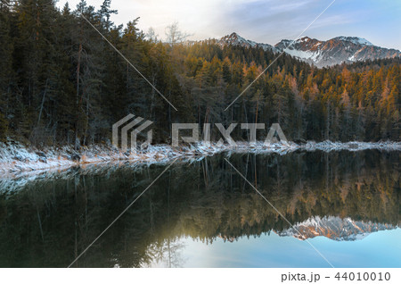 Alpine forest and snowy Alps near Eibsee lake 44010010