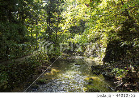 花巻温泉　釜淵の滝　散策路から見る瀬川 44010755