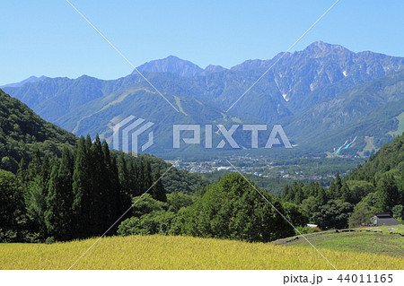 白馬村青鬼　実りの秋 44011165