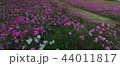 初秋 44011817