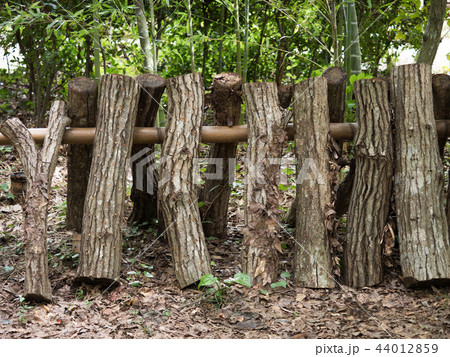 シイタケの栽培 シイタケの栽培 44012859