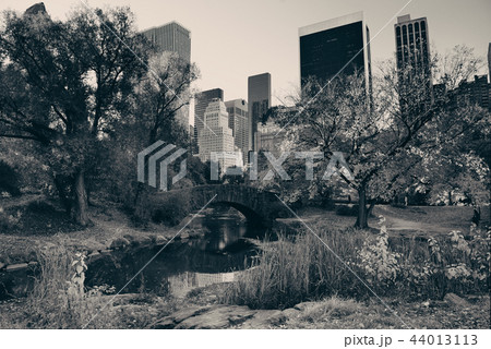 Central Park Autumn Central Park Autumn 44013113