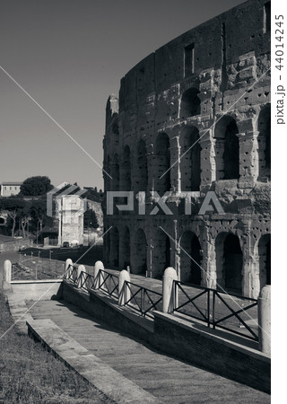 Colosseum Rome 44014245