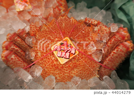 毛がに 44014279