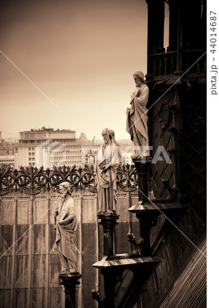 Paris rooftop view 44014687