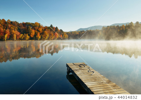Autumn foliage Autumn foliage 44014832