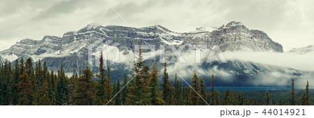 Bow Lake 44014921