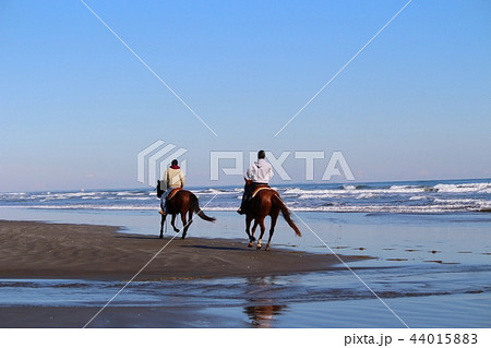 砂浜を馬に乗って走る男性達 砂浜を馬に乗って走る男性達 44015883
