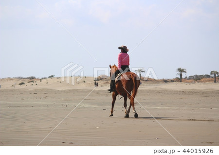 砂浜を馬に乗って走る女性 44015926