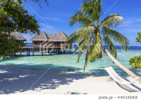 インド洋の美しいサンゴ礁の海 インド洋の美しいサンゴ礁の海 44016068