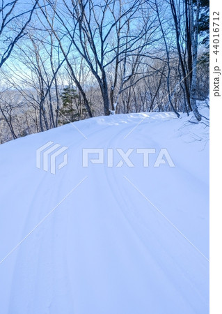 雪道 44016712
