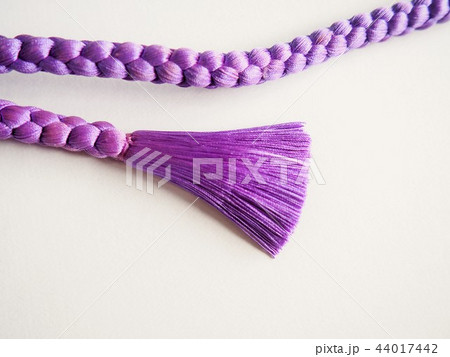 紫色の帯締めその２ 44017442