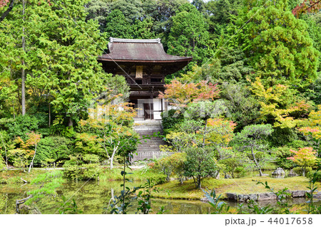 圓成寺　初秋 44017658