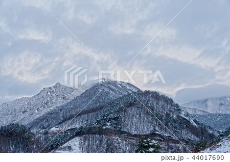 江原道 冬 季節 44017690