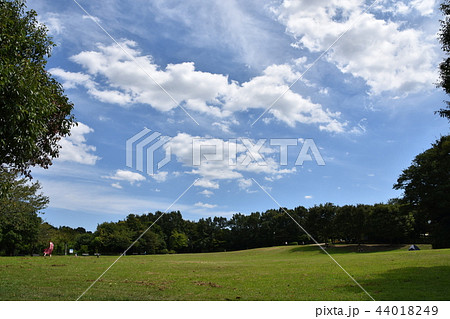 真夏の里山公園 真夏の里山公園 44018249