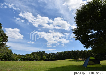 真夏の里山公園 真夏の里山公園 44018425