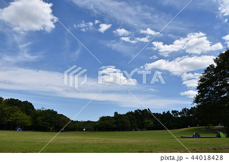 真夏の里山公園 真夏の里山公園 44018428