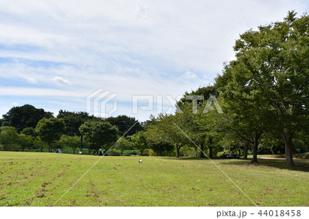 真夏の里山公園 真夏の里山公園 44018458