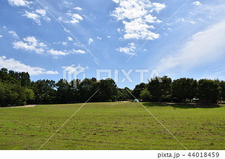 真夏の里山公園　 44018459