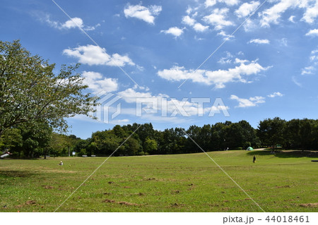 真夏の里山公園　 44018461
