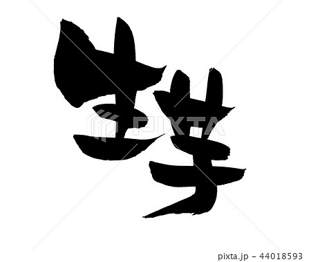 筆文字　生芋　　食べ物　イラスト　 44018593