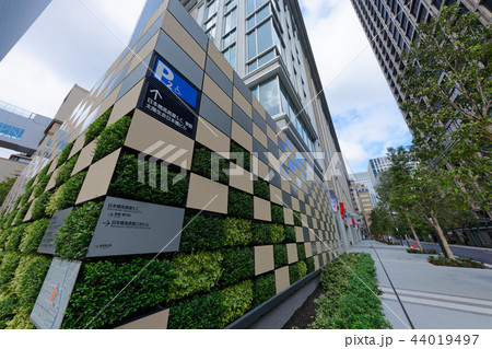 日本橋高島屋SC 新・都市型ショッピングセンター　オープン 44019497