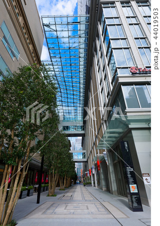 日本橋高島屋SC 新・都市型ショッピングセンター オープン 日本橋高島屋SC 新・都市型ショッピングセンター オープン 44019503