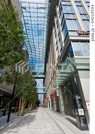 日本橋高島屋SC 新・都市型ショッピングセンター　オープン 44019504