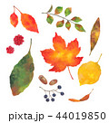 秋の葉っぱと木の実 44019850