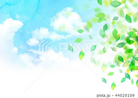 背景素材 空 葉 テクスチャーのイラスト素材