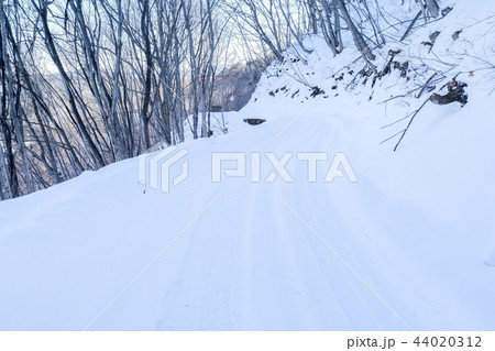 雪道 44020312