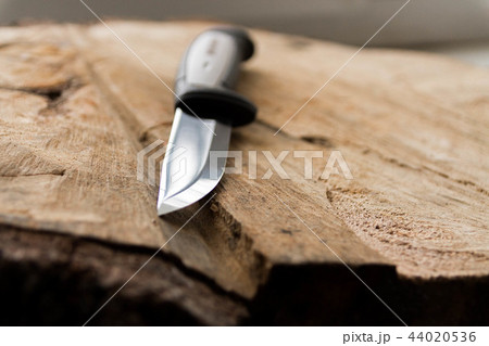 Carving knife side view. 44020536