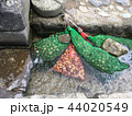 栗を冷やす清流 44020549