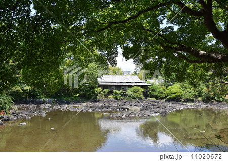 三島市立公園　楽寿園 44020672