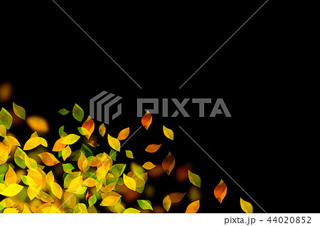 テキスタイル　紅葉　葉っぱ 44020852