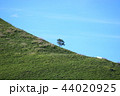 青空と緑の斜面 44020925