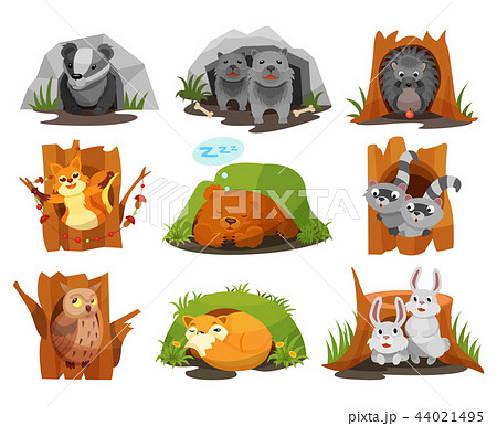Cute animals sitting in burrows and hollows set, badger, wolves cubs, hedgehog, squirrel, bear cub Cute animals sitting in burrows and hollows set, badger, wolves cubs, hedgehog, squirrel, bear cub 44021495