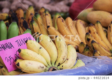 セブ島の露店 44021614