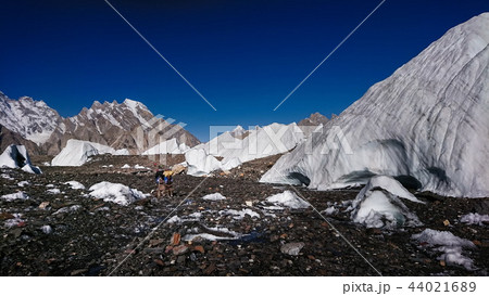 K2 and Broad Peak from Concordia in the Karakorum K2 and Broad Peak from Concordia in the Karakorum 44021689