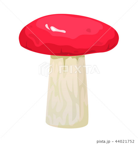 Russula edible mushroom, vector illustration 44021752
