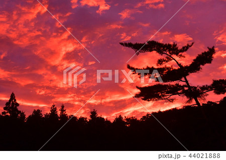 徳島池田町黒沢湿原の夕焼け 徳島池田町黒沢湿原の夕焼け 44021888