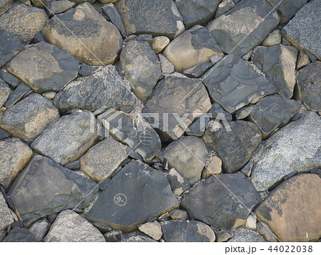 名古屋城の石垣-西南隅櫓側(愛知県)2018年8月 名古屋城の石垣-西南隅櫓側(愛知県)2018年8月 44022038