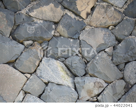 名古屋城の石垣-西南隅櫓側（愛知県）2018年8月 44022041