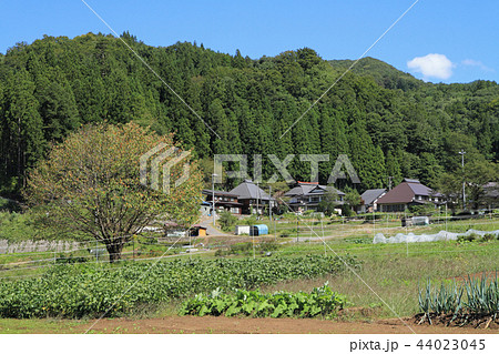 白馬村野平　初秋の山里 44023045
