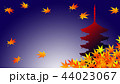 京都の紅葉のイメージ 44023067