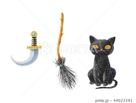 Hand drawn cute black witch cat, broom stick  44023391